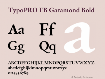 TypoPRO EB Garamond Bold Version 000.014图片样张