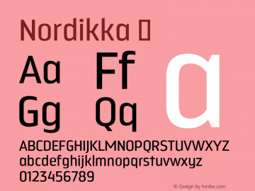 Nordikka ☞ Version 1.000;com.myfonts.easy.mendoza-vergara.nordikka.regular.wfkit2.version.4mR3图片样张