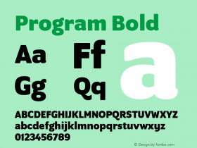 Program Bold Version 1.0图片样张