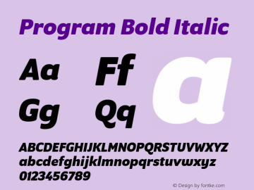Program Bold Italic Version 1.0 Font Sample