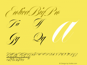 EroticaBigPro ☞ 1.000;com.myfonts.easy.argentina-lian-types.erotica.big-pro.wfkit2.version.43Lx图片样张