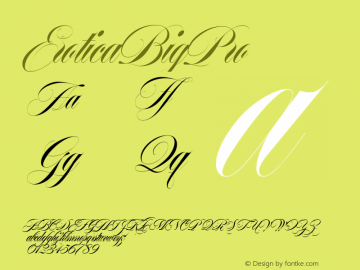 EroticaBigPro ☞ 1.000;com.myfonts.easy.argentina-lian-types.erotica.big-pro.wfkit2.version.43Lx图片样张