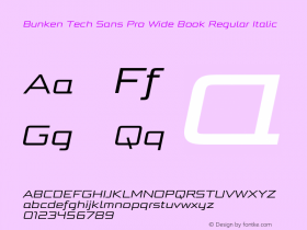 Bunken Tech Sans Pro Wide Book Regular Italic Version 1.34 Font Sample