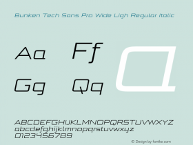 Bunken Tech Sans Pro Wide Ligh Regular Italic Version 1.34图片样张