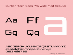 Bunken Tech Sans Pro Wide Med Regular Version 1.33 Font Sample