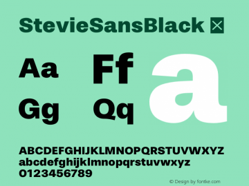 StevieSansBlack ☞ Version 1.000;com.myfonts.easy.typefolio.stevie-sans.black.wfkit2.version.4nDb图片样张