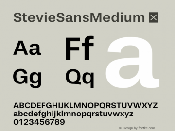 StevieSansMedium ☞ Version 1.000;com.myfonts.easy.typefolio.stevie-sans.medium.wfkit2.version.4nD8 Font Sample