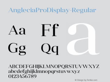 AngleciaProDisplay-Regular ☞ Version 001.000;com.myfonts.easy.konstantynov.anglecia-pro.display-regular.wfkit2.version.47ME图片样张