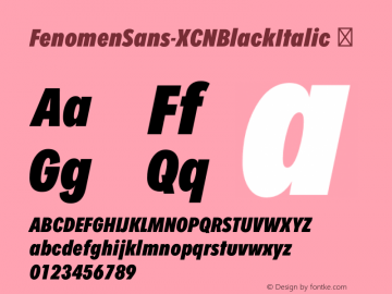 FenomenSans-XCNBlackItalic ☞ Version 1.001;PS 001.001;hotconv 1.0.70;makeotf.lib2.5.58329;com.myfonts.easy.signature-type-foundry.fenomen-sans.xcn-black-italic.wfkit2.version.4nQ7图片样张