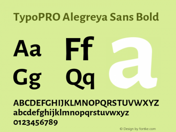 TypoPRO Alegreya Sans Bold Version 1.000;PS 001.000;hotconv 1.0.70;makeotf.lib2.5.58329 DEVELOPMENT图片样张