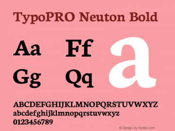 TypoPRO Neuton Bold Version 1.42图片样张