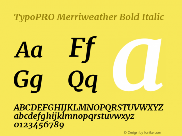 TypoPRO Merriweather Bold Italic Version 1.001图片样张