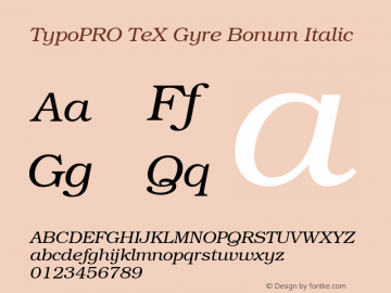 TypoPRO TeX Gyre Bonum Italic Version 2.004;PS 2.004;hotconv 1.0.49;makeotf.lib2.0.14853图片样张