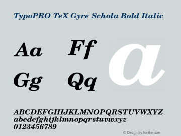 TypoPRO TeX Gyre Schola Bold Italic Version 2.005;PS 2.005;hotconv 1.0.49;makeotf.lib2.0.14853 Font Sample