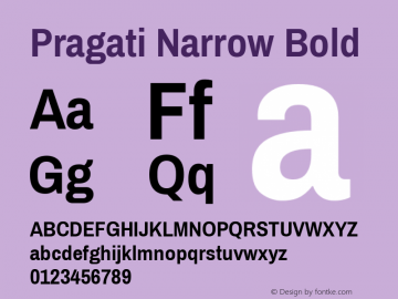 Pragati Narrow Bold Version 1.007; ttfautohint (v1.3) Font Sample