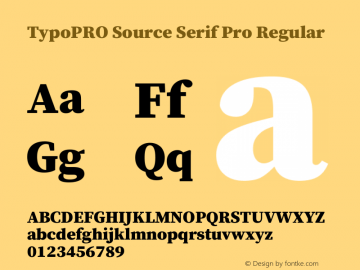 TypoPRO Source Serif Pro Regular Version 1.017;PS 1.0;hotconv 1.0.79;makeotf.lib2.5.61930图片样张