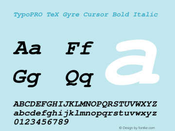 TypoPRO TeX Gyre Cursor Bold Italic Version 2.004;PS 2.004;hotconv 1.0.49;makeotf.lib2.0.14853图片样张