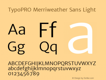 TypoPRO Merriweather Sans Light Version 1.003; ttfautohint (v0.93.8-669f) -l 7 -r 28 -G 0 -x 13 -w 