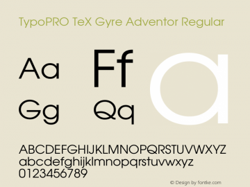 TypoPRO TeX Gyre Adventor Regular Version 2.003;PS 2.003;hotconv 1.0.49;makeotf.lib2.0.14853 Font Sample