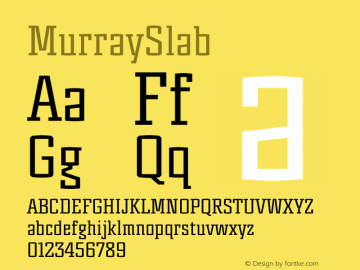 MurraySlab ☞ Version 1.000 2012 initial release;com.myfonts.kyryll-tkachev.murray-slab.regular.wfkit2.3NWz Font Sample