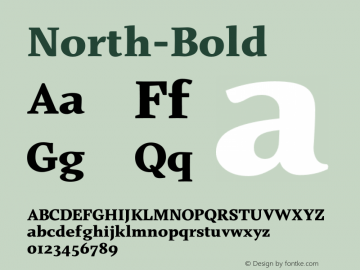 North-Bold ☞ Version 1.001;com.myfonts.easy.trinerask.north.bold.wfkit2.version.3mZM Font Sample