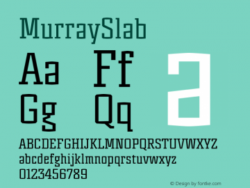 MurraySlab ☞ Version 1.000 2012 initial release;com.myfonts.kyryll-tkachev.murray-slab.regular.wfkit2.3NWz Font Sample