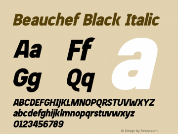 Beauchef Black Italic Version 1.000;PS 002.000;hotconv 1.0.70;makeotf.lib2.5.58329图片样张