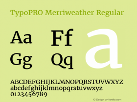 TypoPRO Merriweather Regular Version 1.570; ttfautohint (v1.3) -l 8 -r 32 -G 0 -x 0 -H 60 -D latn -f cyrl -m 