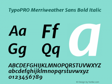 TypoPRO Merriweather Sans Bold Italic Version 1.000图片样张