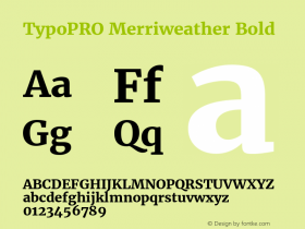 TypoPRO Merriweather Bold Version 1.570; ttfautohint (v1.3) -l 8 -r 32 -G 0 -x 0 -H 60 -D latn -f cyrl -m 