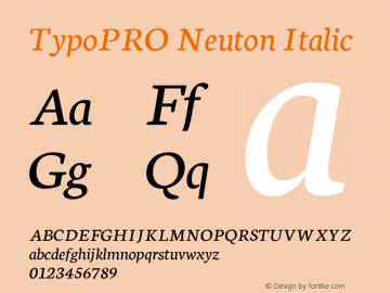 TypoPRO Neuton Italic Version 1.46图片样张