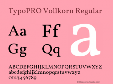 TypoPRO Vollkorn Regular Version 2.001图片样张