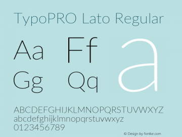 TypoPRO Lato Regular Version 2.010; 2014-09-01; http://www.latofonts.com/图片样张