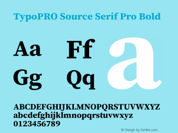 TypoPRO Source Serif Pro Bold Version 1.017;PS 1.0;hotconv 1.0.79;makeotf.lib2.5.61930图片样张