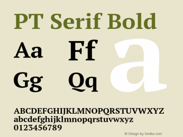 PT Serif Bold Version 1.000图片样张