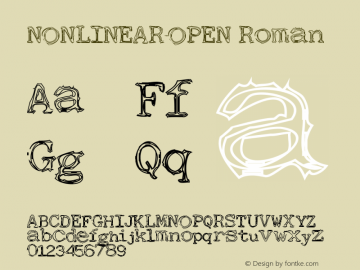 NONLINEAR-OPEN Roman Version 1.00图片样张