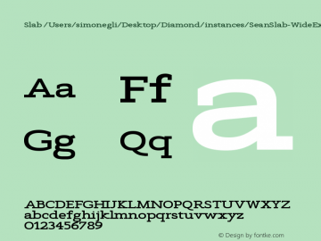 Slab /Users/simonegli/Desktop/Diamond/instances/SeanSlab-WideExtrabold.ufo Version Version Beta 1.0图片样张