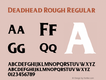 Deadhead Rough Regular Unknown图片样张