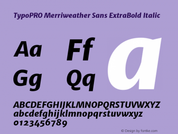 TypoPRO Merriweather Sans ExtraBold Italic Version 1.000图片样张