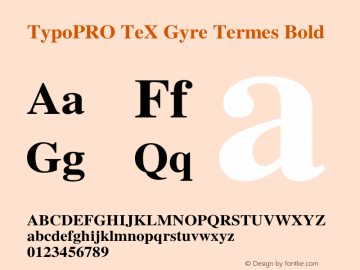 TypoPRO TeX Gyre Termes Bold Version 2.004;PS 2.004;hotconv 1.0.49;makeotf.lib2.0.14853 Font Sample