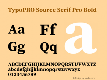 TypoPRO Source Serif Pro Bold Version 1.017;PS 1.0;hotconv 1.0.79;makeotf.lib2.5.61930图片样张