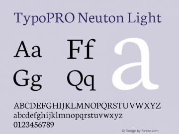 TypoPRO Neuton Light Version 1.46图片样张