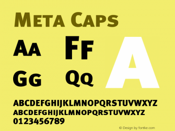 Meta Caps Version 004.301图片样张