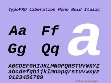 TypoPRO Liberation Mono Bold Italic Version 2.00.1 Font Sample