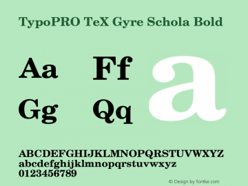 TypoPRO TeX Gyre Schola Bold Version 2.005;PS 2.005;hotconv 1.0.49;makeotf.lib2.0.14853 Font Sample