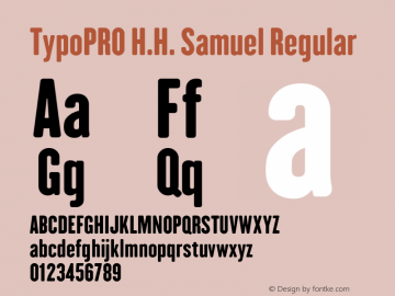 TypoPRO H.H. Samuel Regular Version 1.009图片样张