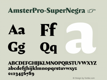 AmsterPro-SuperNegra ☞ Version 1.000;PS 001.000;hotconv 1.0.70;makeotf.lib2.5.58329;com.myfonts.easy.pampatype.amster.pro-super-negra.wfkit2.version.4mQH Font Sample