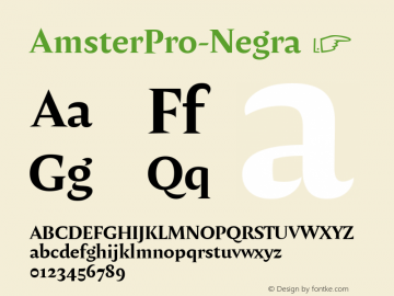 AmsterPro-Negra ☞ Version 1.000;PS 001.000;hotconv 1.0.70;makeotf.lib2.5.58329;com.myfonts.easy.pampatype.amster.pro-negra.wfkit2.version.4mQF Font Sample