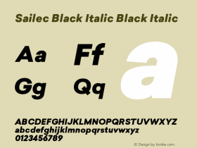 Sailec Black Italic Black Italic Version 1.000图片样张