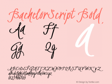 BachelorScript Bold Version 1.002;com.myfonts.easy.fontforecast.bachelorscript.bold.wfkit2.version.4hZw Font Sample